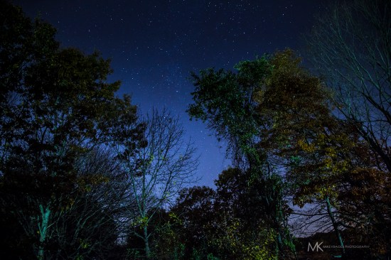 Orionid Meteor Shower