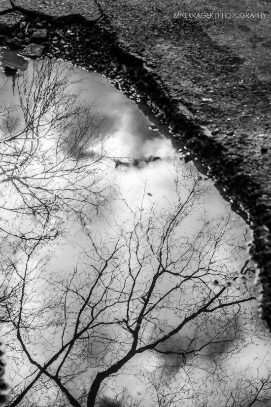 Mike Krager Photography