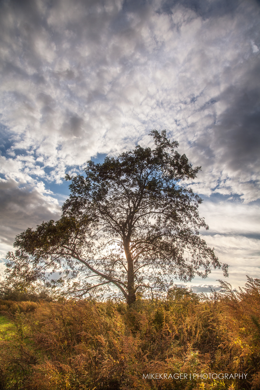 mkrager_silver-sands-milford_02_web