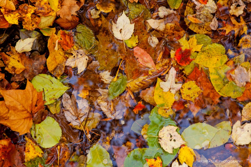 krager_autumn-watercolors_26Oct2018